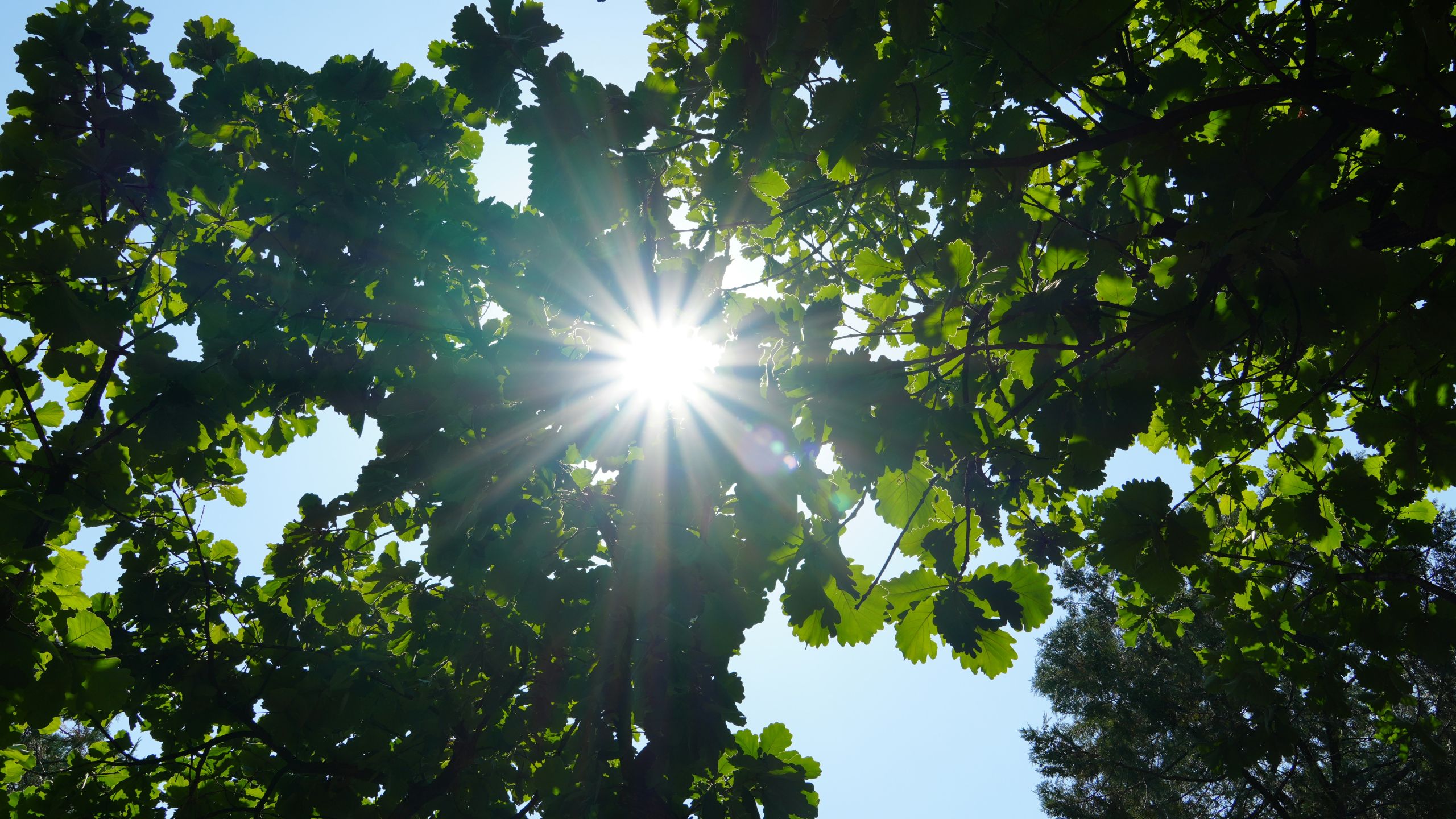 rosario city view on city buildings